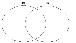 1030_Venn diagram.jpg